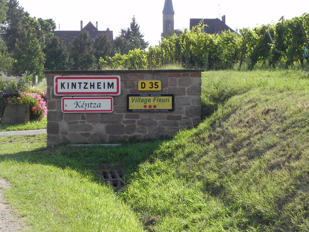 Le Nid De Cigognes Kintzheim Quarto foto