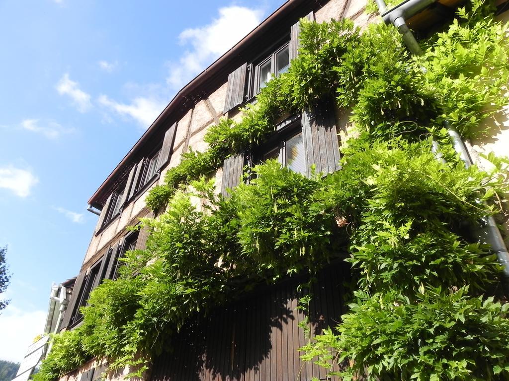 Le Nid De Cigognes Kintzheim Exterior foto